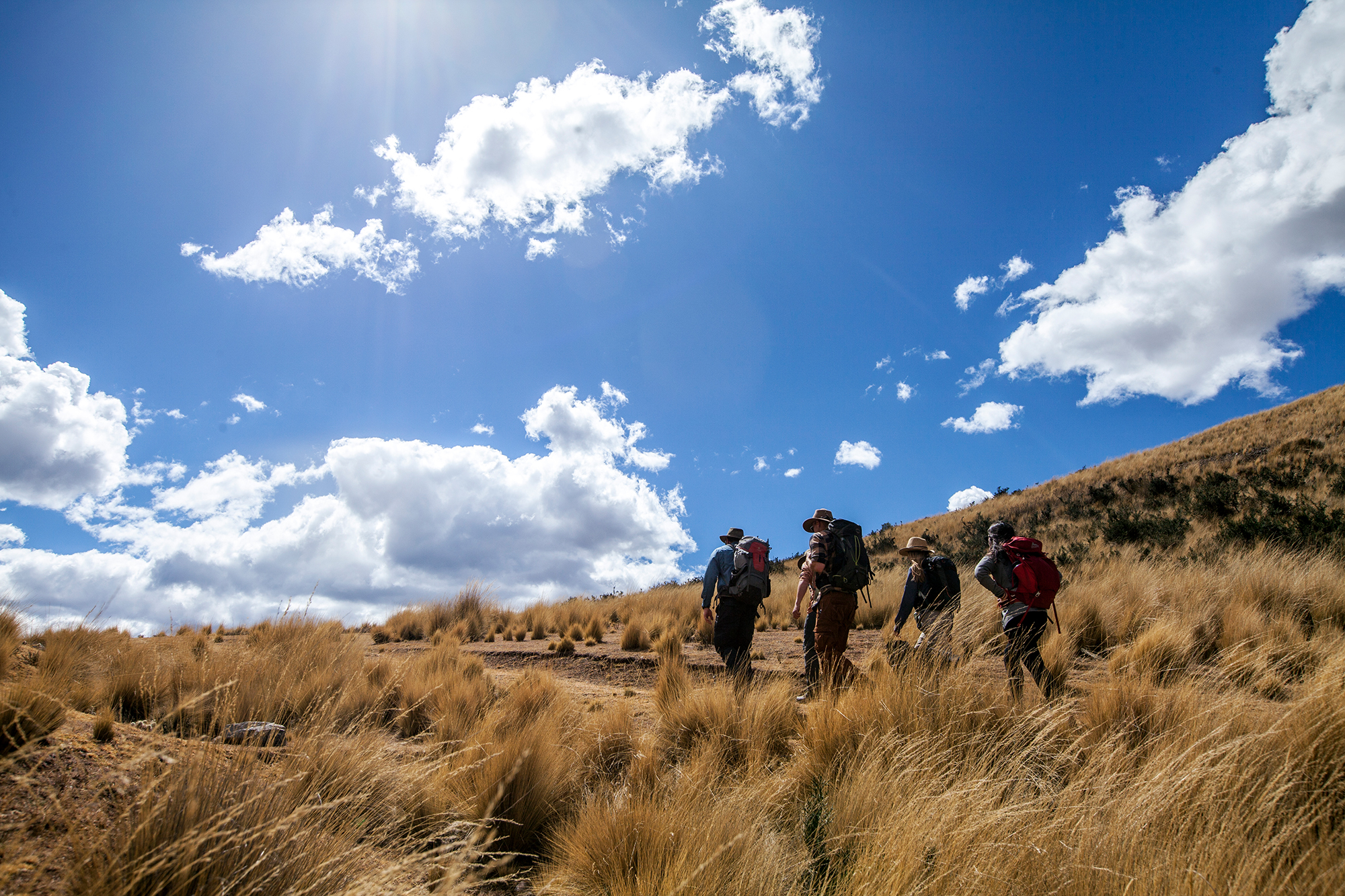 Viajeros recorriendo los Andes