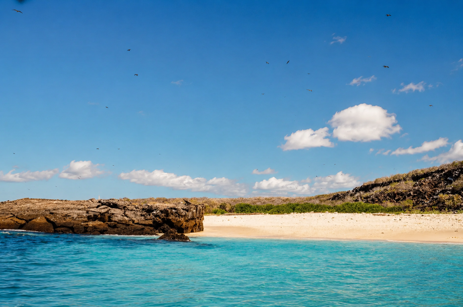 Isla Genovesa