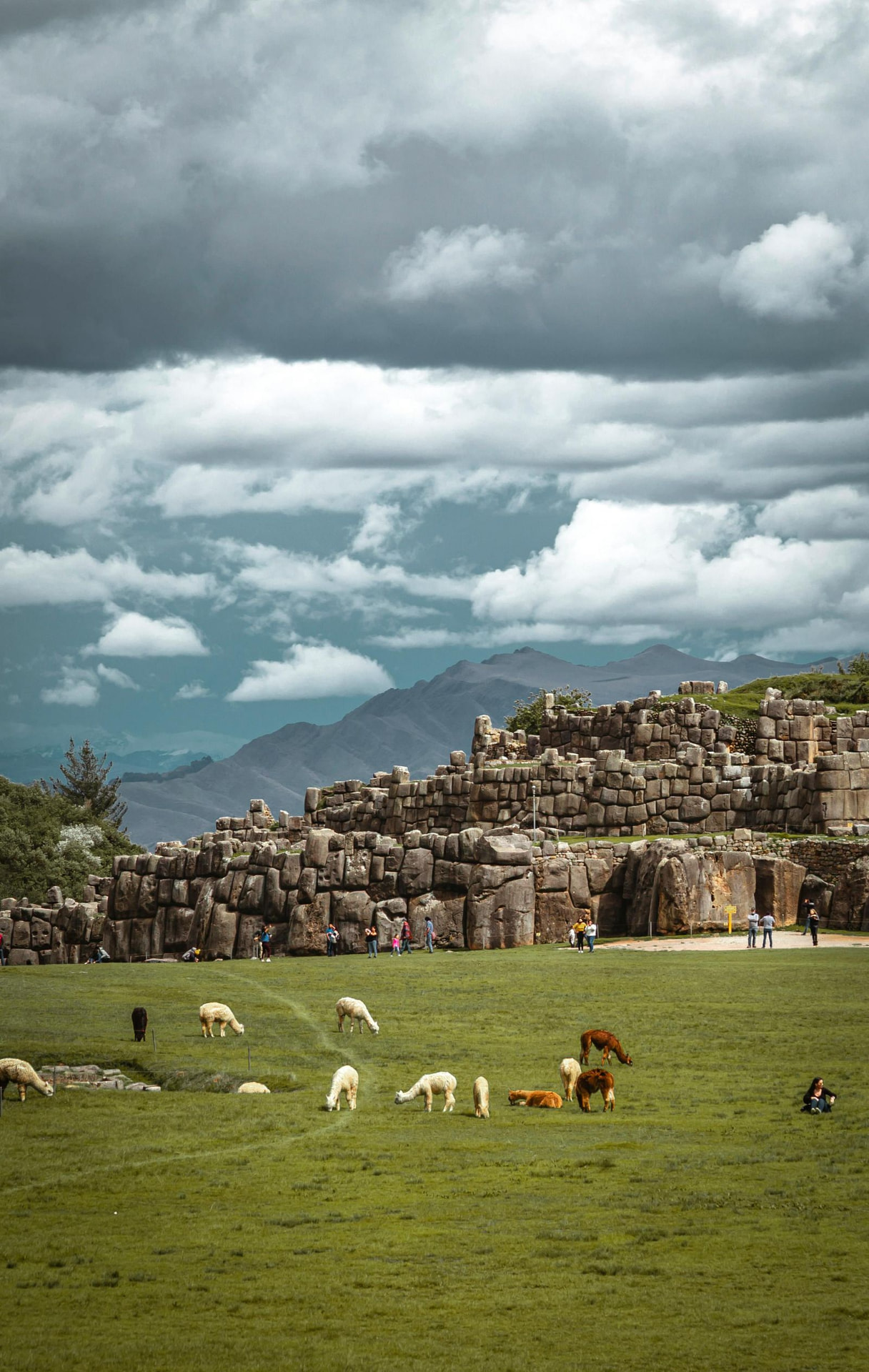 Recorriendo el último tramo de un camino Inca
